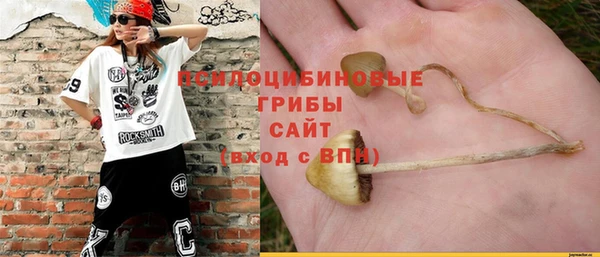 ALPHA-PVP Алексеевка